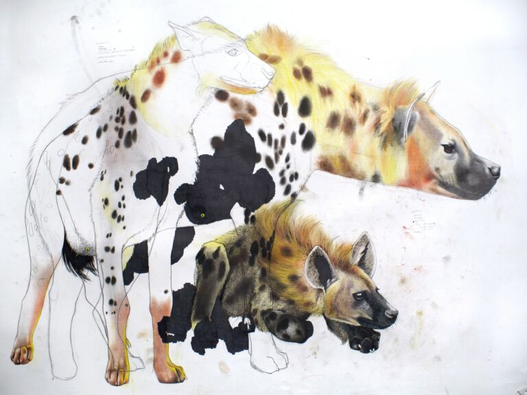 Hyènes à bombes, dessin sur papier, 108 x 80 cm, 2019, crayon à papier, mine graphite, pastels secs, fusain, crayons de couleurs, marqueur, collage