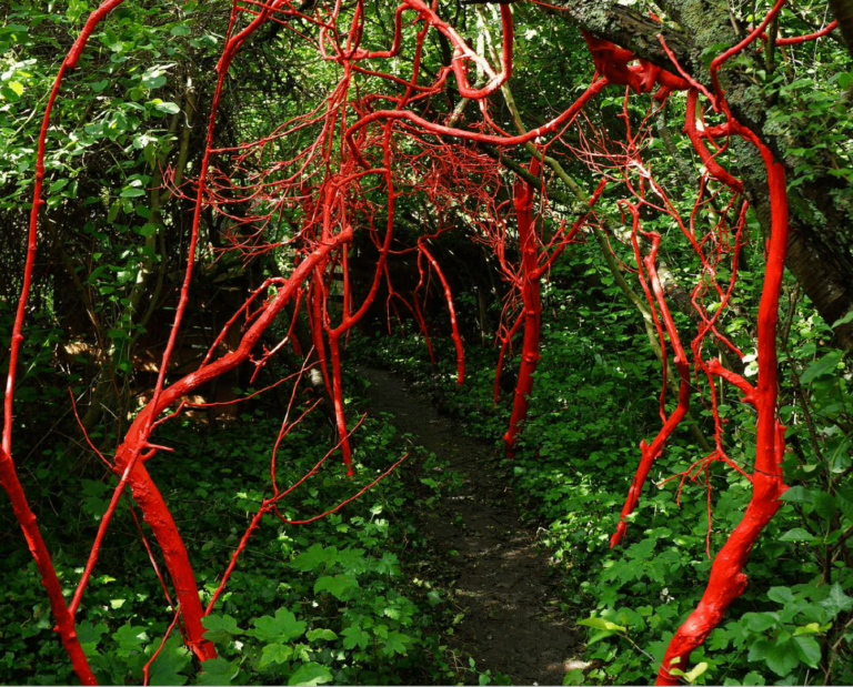 Boyau, Festival «Murs à pêches», Montreuil, 2013, Branches d’arbres peintes